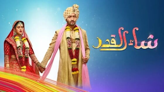 مسلسل شاء القدر الحلقة 120 مترجمة HD